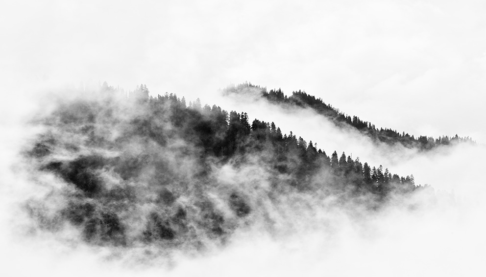 Foggy landscape - royalty-free photo