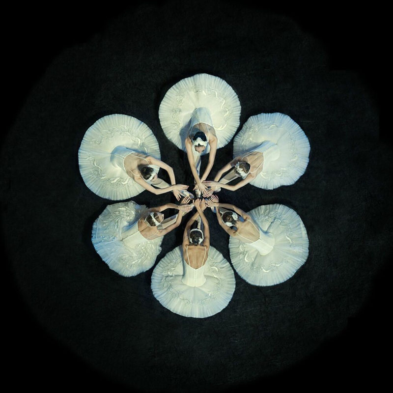 Mark Olich, Water Lily © Yellow Korner