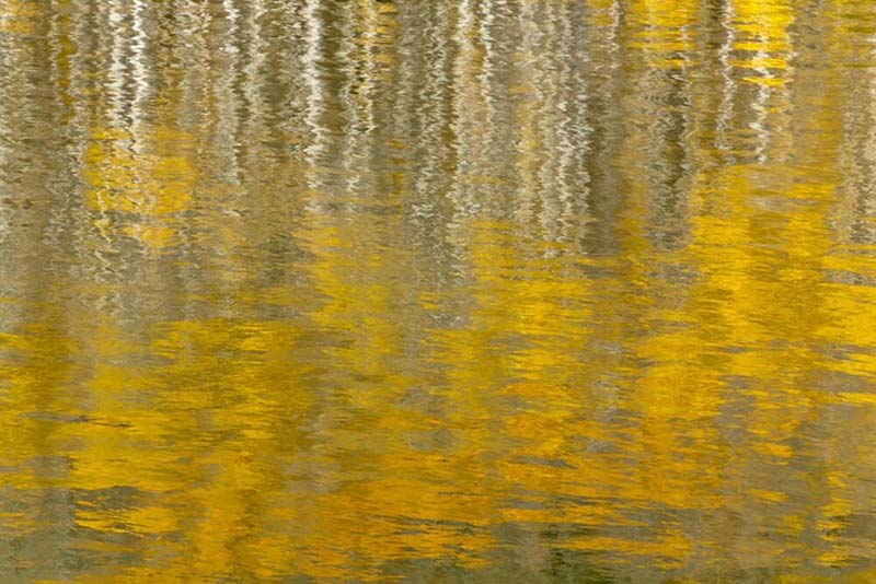 John Eastcott & Yva Momatiuk, Autumn Reflections in Mountain Lake III © Yellow Korner