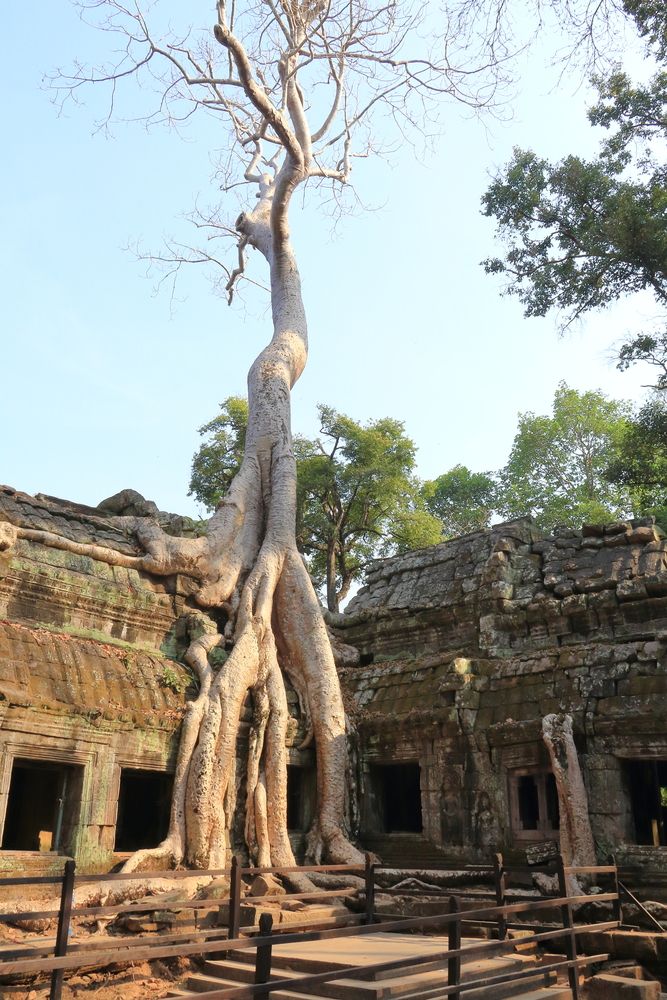 Ta Som Temple 2 - Siem Reap - Cambodge