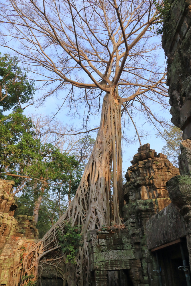 Ta Som Temple 3 - Siem Reap - Cambodge