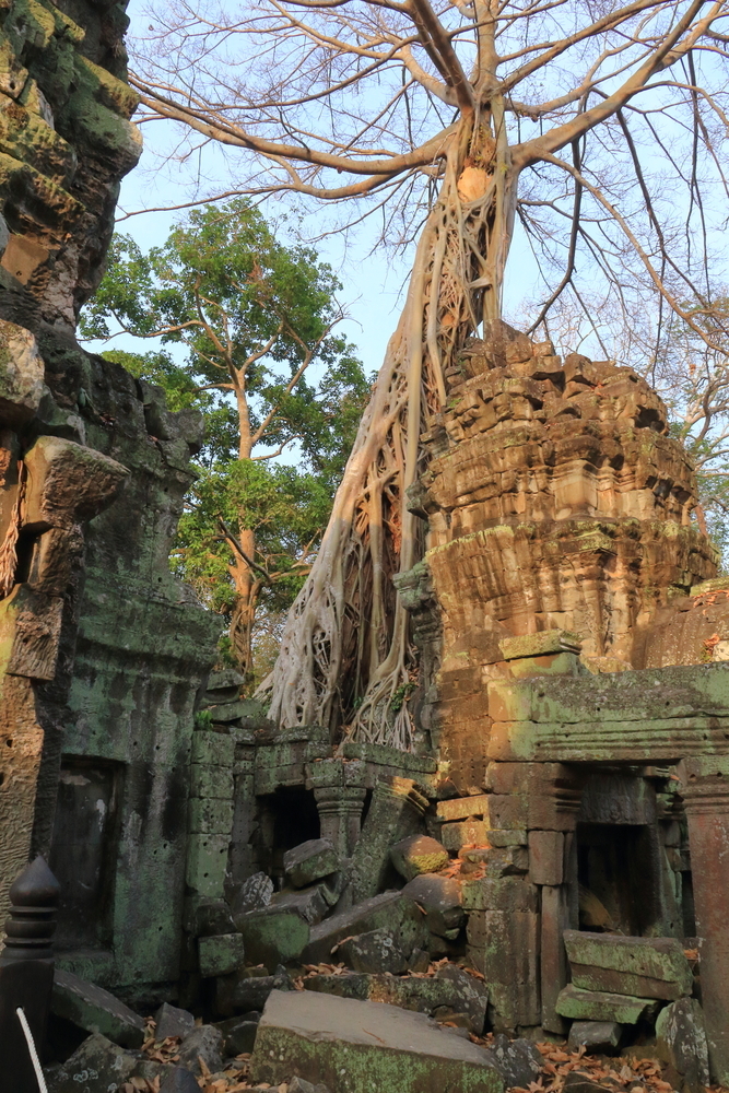 Ta Som Temple 4 - Siem Reap - Cambodge