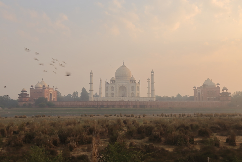 Taj Mahal 4 - Agra - Uttar Pradesh - Inde