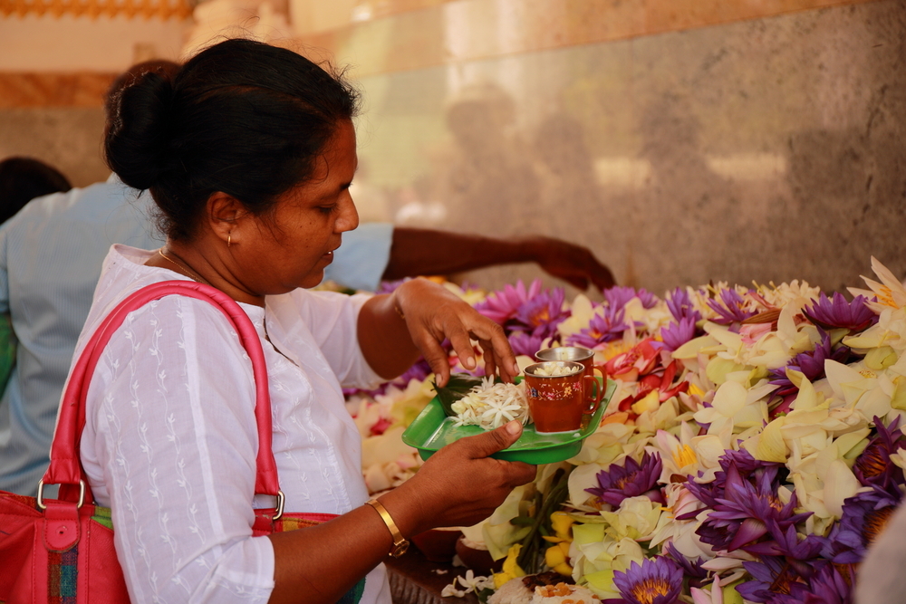 Offrandes - Anuradhapura - Sri Lanka