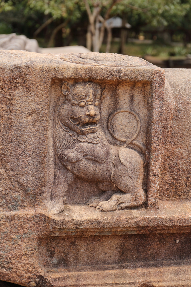Lion - Anuradhapura - Sri Lanka