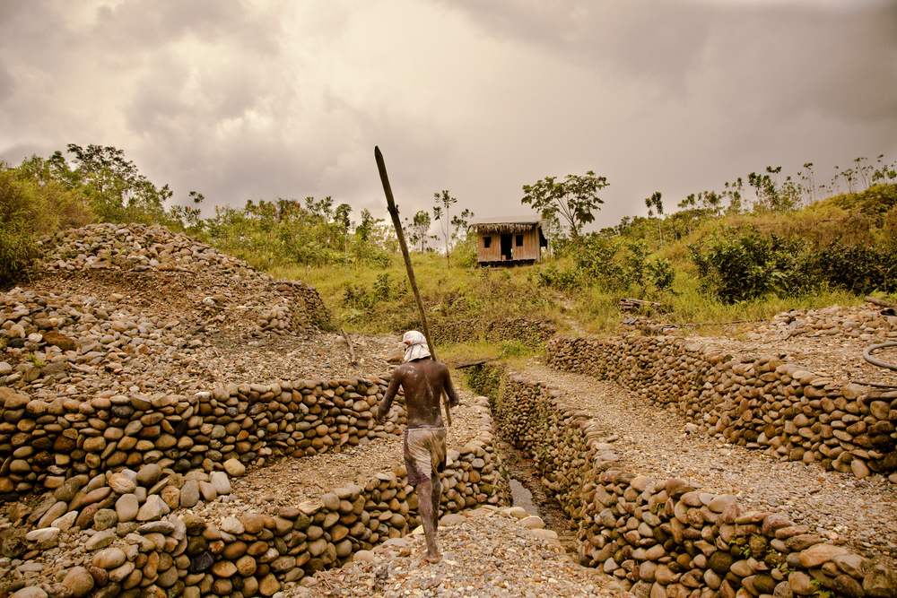 Oro verde, Mine d'or équitable dans l'état de choc. Colombie.