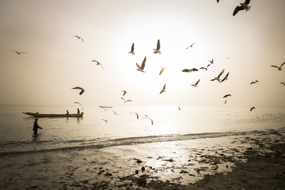 Plage sur le port de Joal en fin de journée. Sénégal.