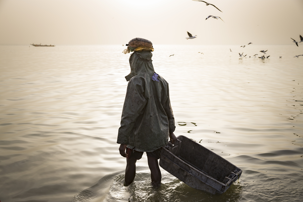 Porteur de caisse poisson attendant les pêcheurs. Port de Joal. Sénégal.