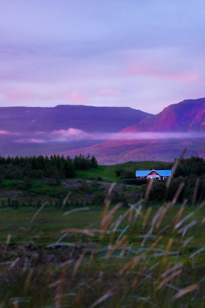 Purple twilight