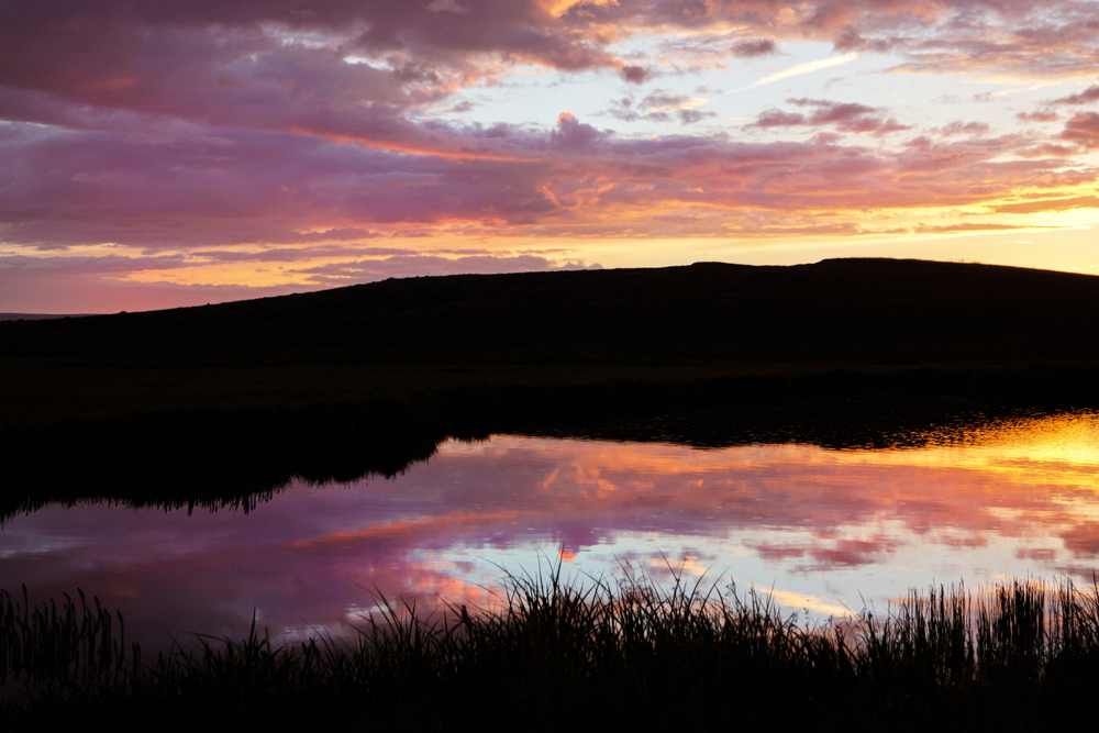 Reflections in wonderland