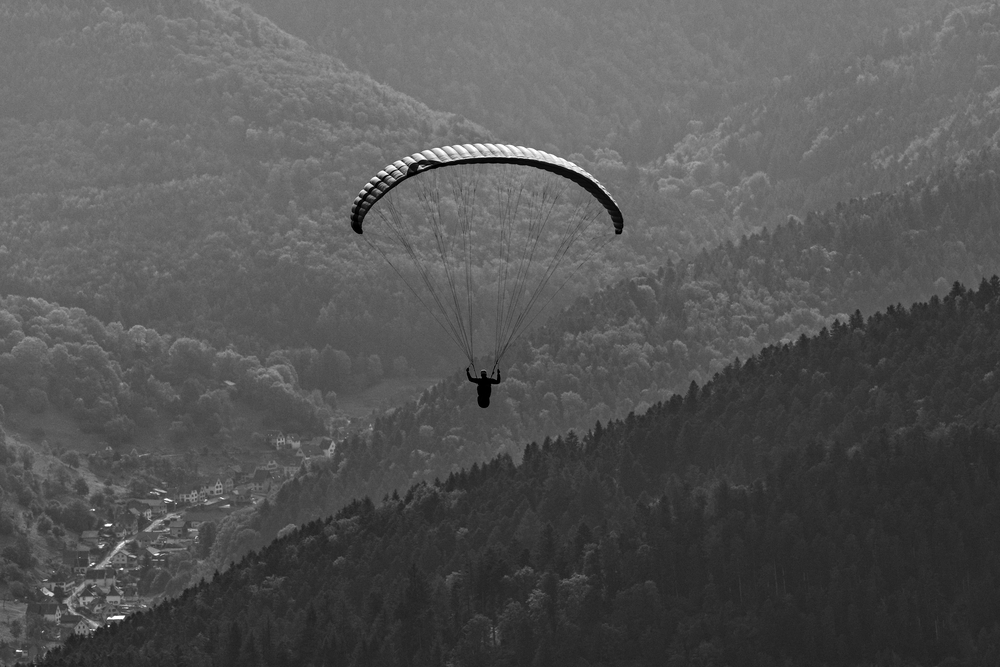 Après l'envol, tout s'apaise - Noir & Blanc