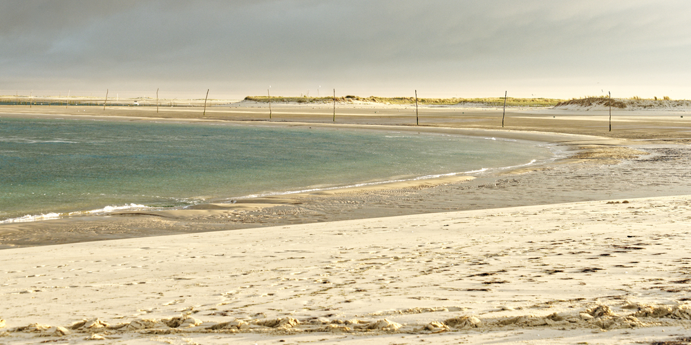 Toujours vaillants dans la tempête - De la Dune au Bassin