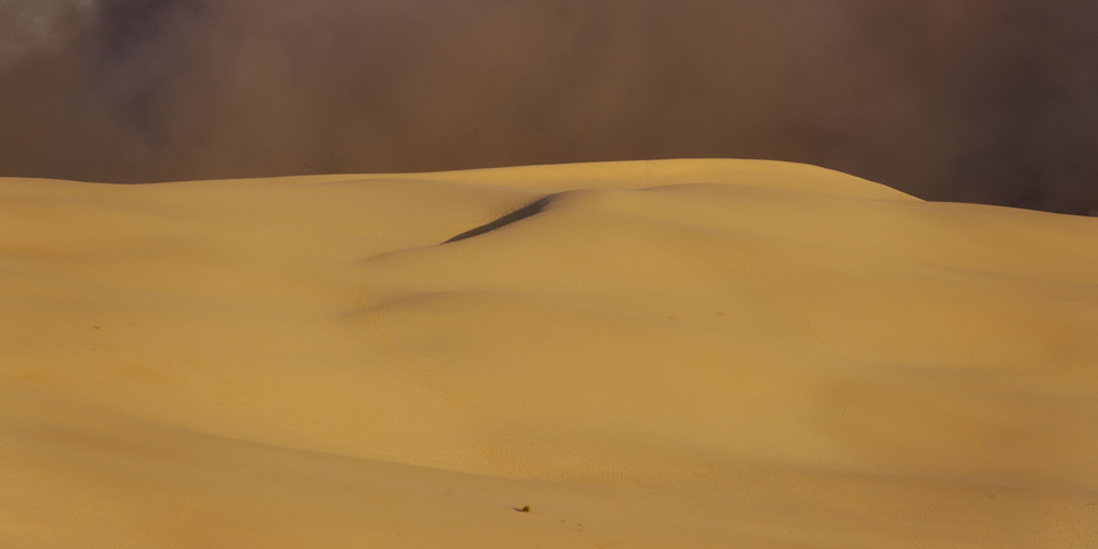 La petite Dune - De la Dune au Bassin