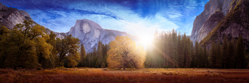 Le Half Dome et l'arbre de Ansel Adams au Yosemite National Park - Panorama