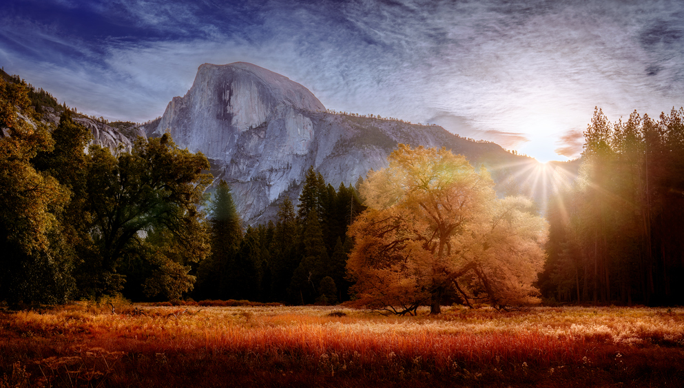 Le Half Dome et l'arbre de Ansel Adams au Yosemite National Park au lever de soleil