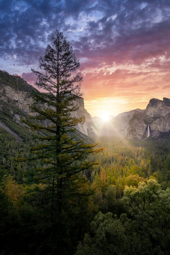 Tunnel View au Yosemite National Park avec le sapin - Panorama au lever du soleil