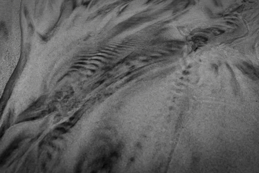 Ocean traces