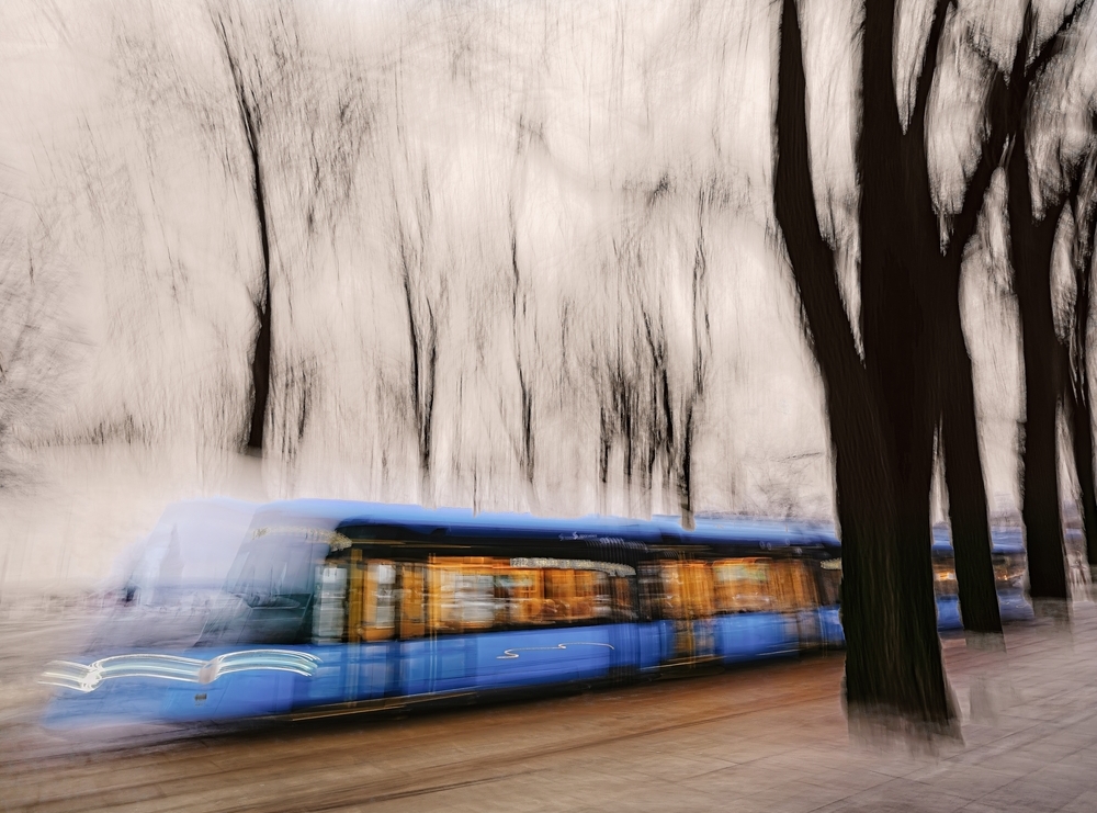 Tram in the Wild