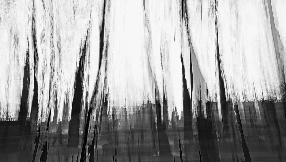 Wandering Soul #20