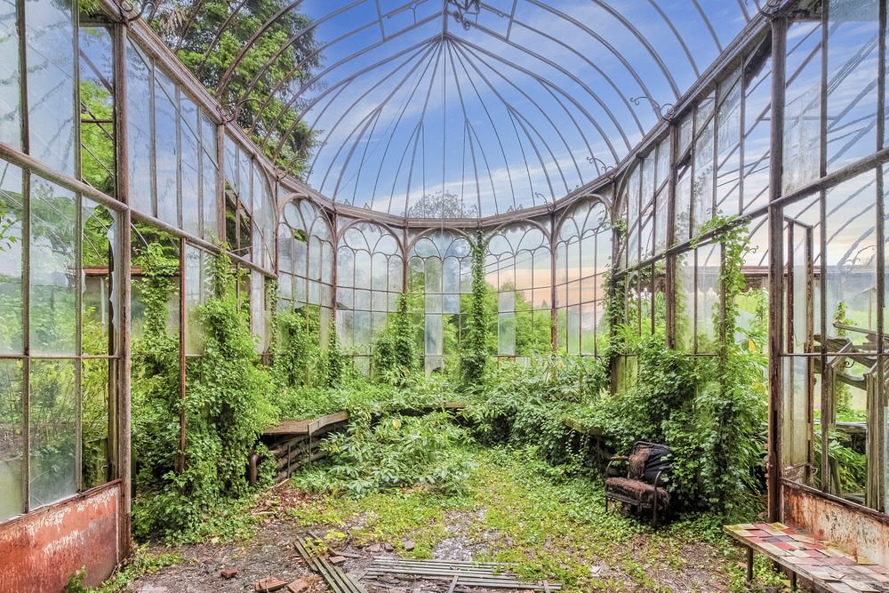 Jardin dit vert, Abandoned Greenhouse - Belgi - 